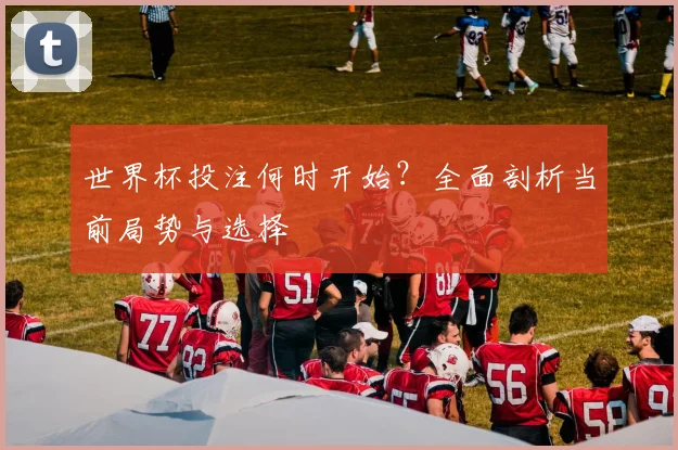 世界杯投注何时开始？全面剖析当前局势与选择