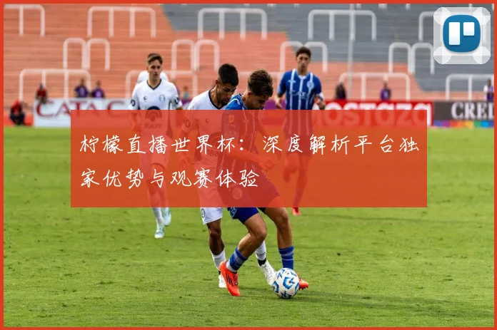 柠檬直播世界杯：深度解析平台独家优势与观赛体验