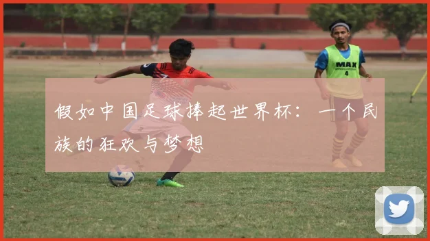 假如中国足球捧起世界杯：一个民族的狂欢与梦想