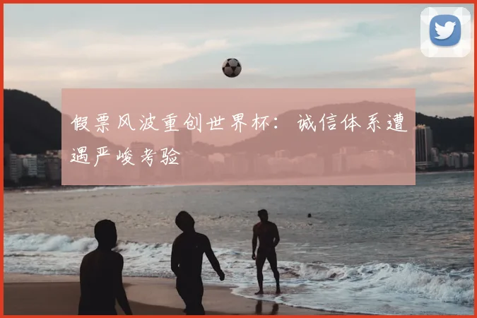 假票风波重创世界杯：诚信体系遭遇严峻考验